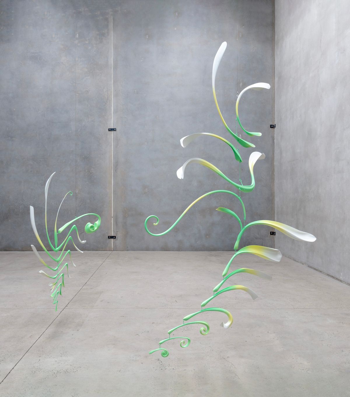 Laschamp cycles: Aurora