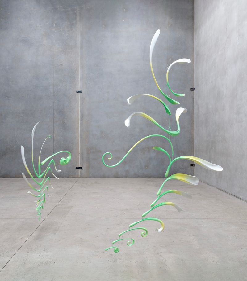 Francis Carmody, Laschamp cycles: Aurora, 2024