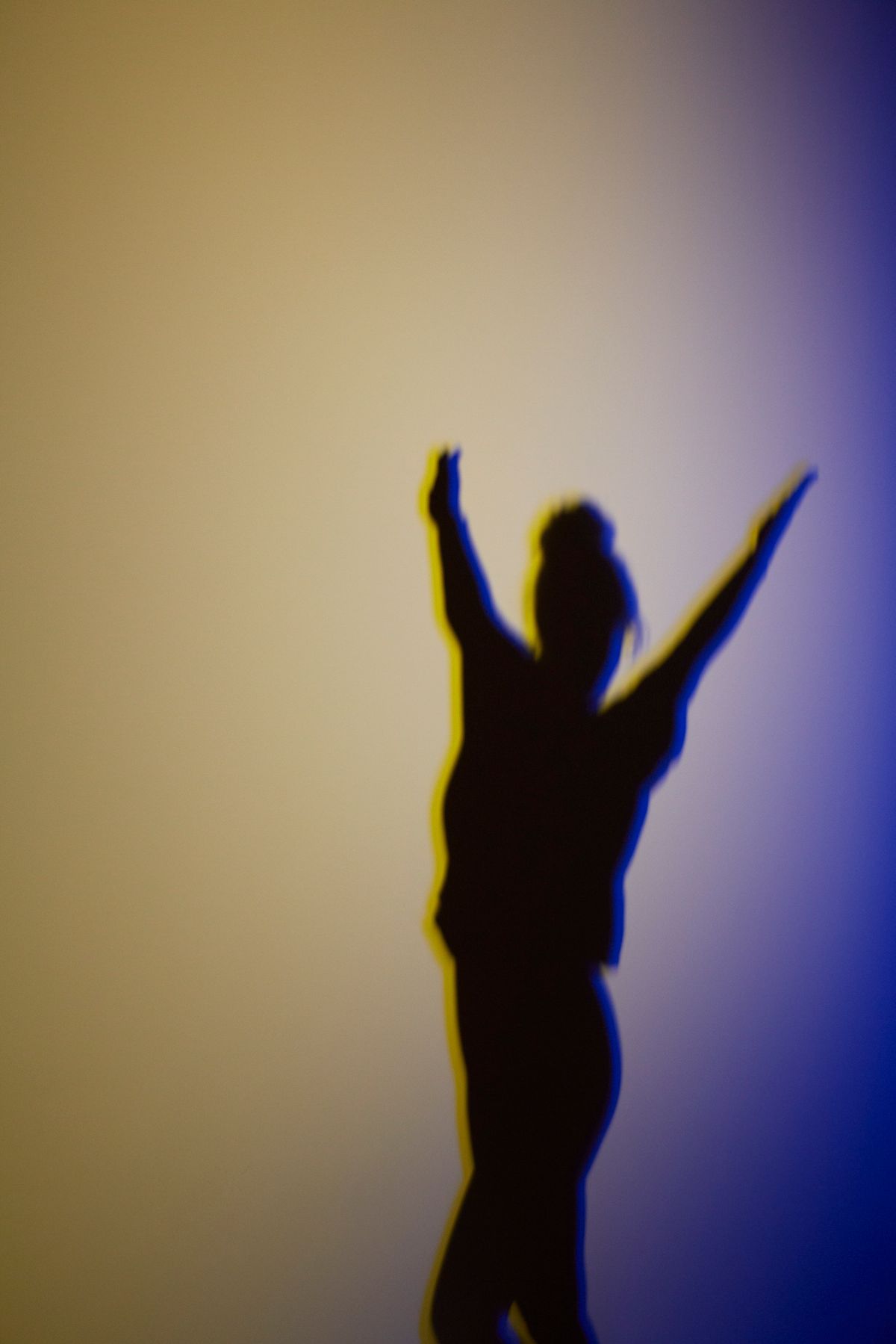 Agatha Gothe-Snape: Taking form