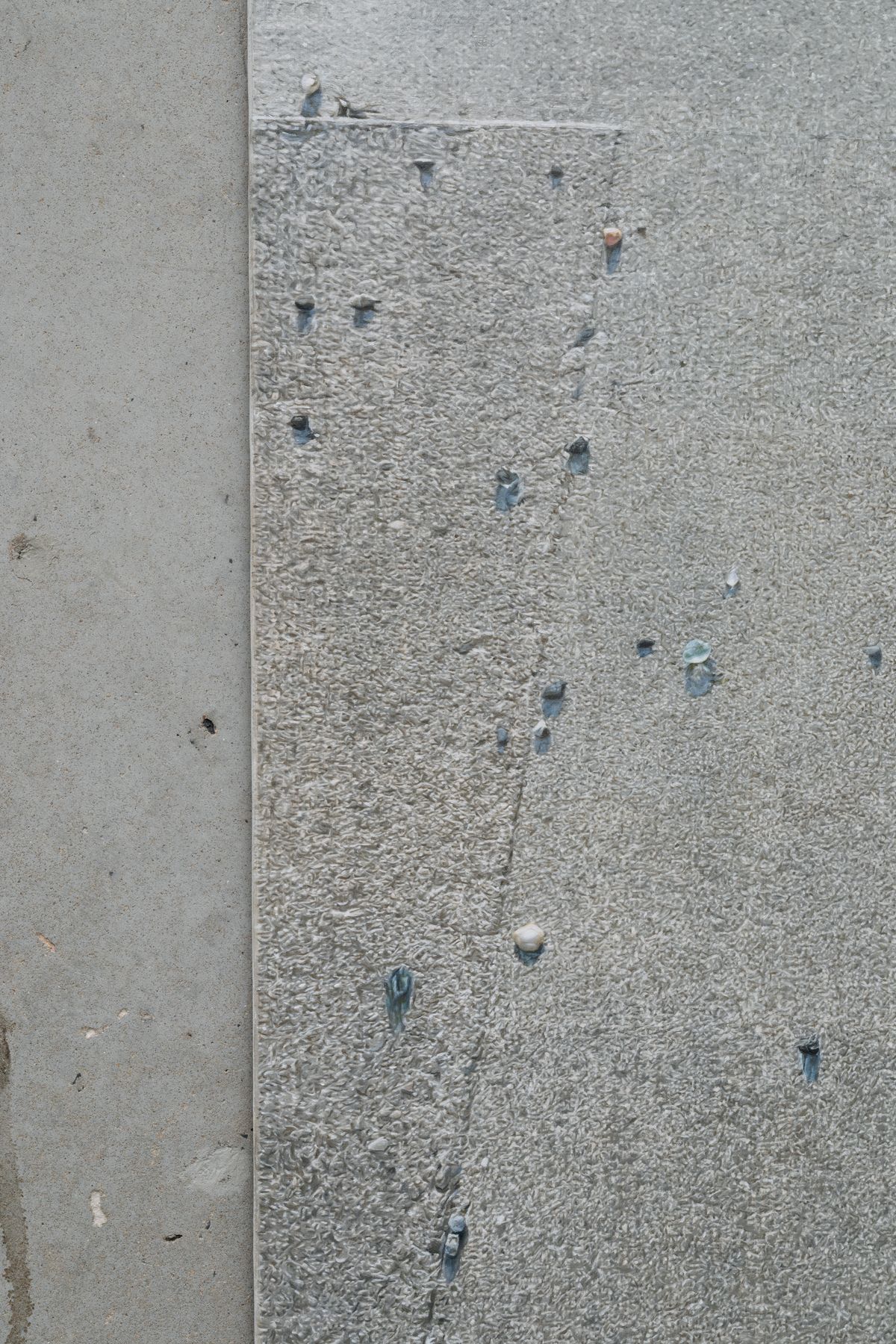 Passes: Anna Kristensen and Micah Danges