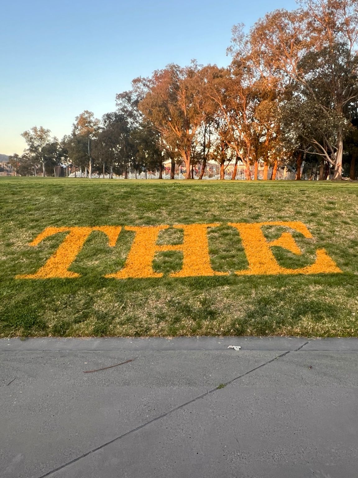 The 6th Canberra Art Biennial exhibition image