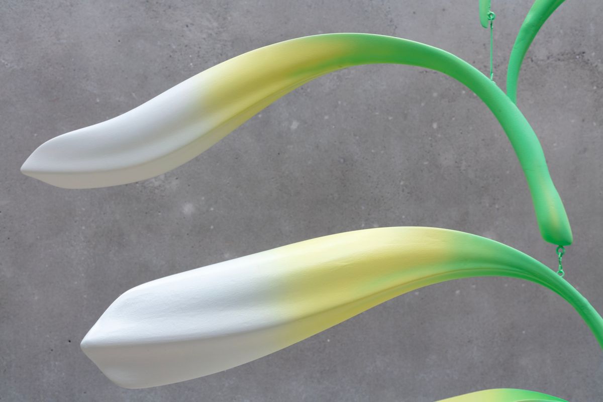 Laschamp cycles: Aurora