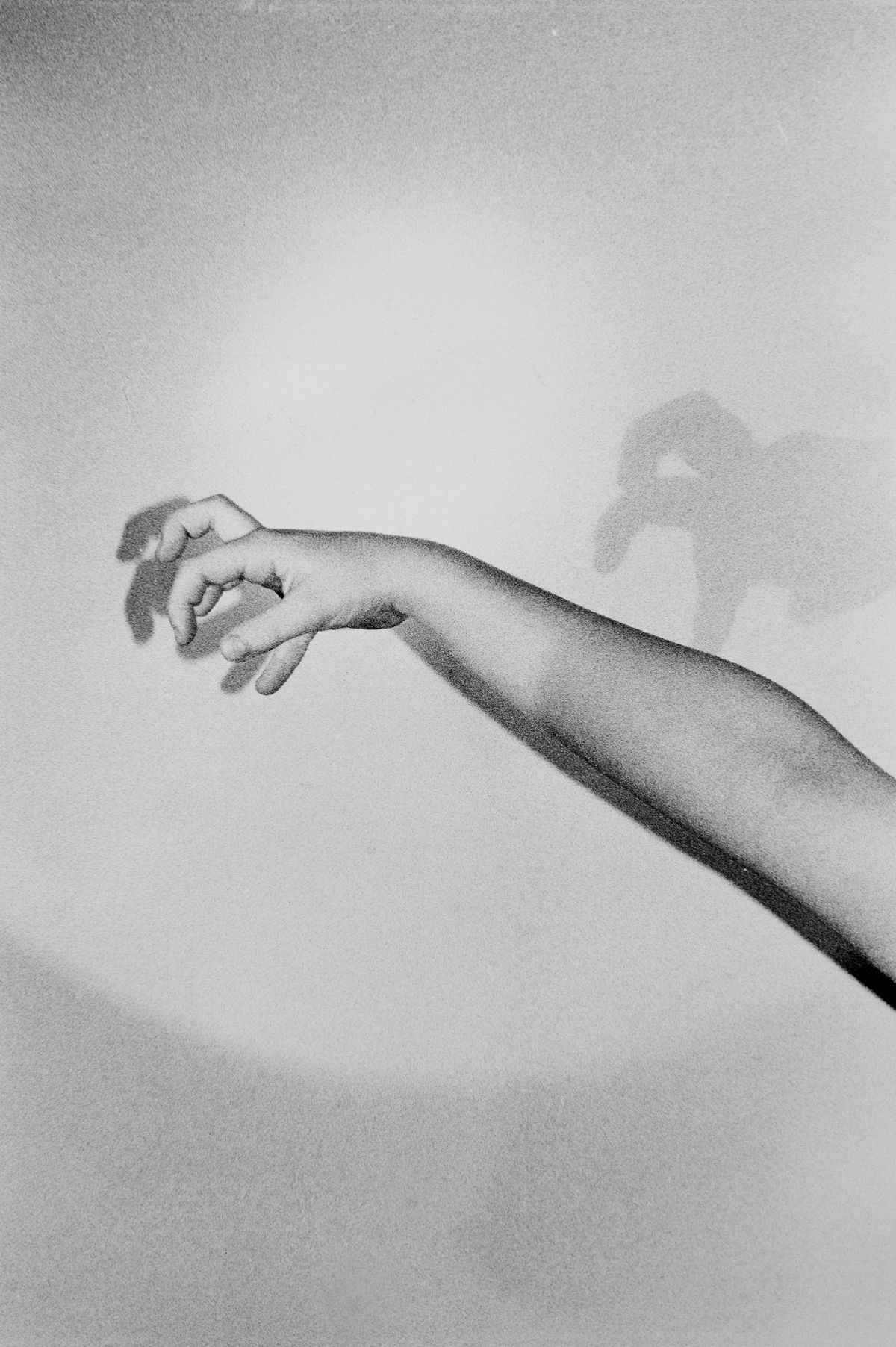 Or your shadow, rising to meet you 6