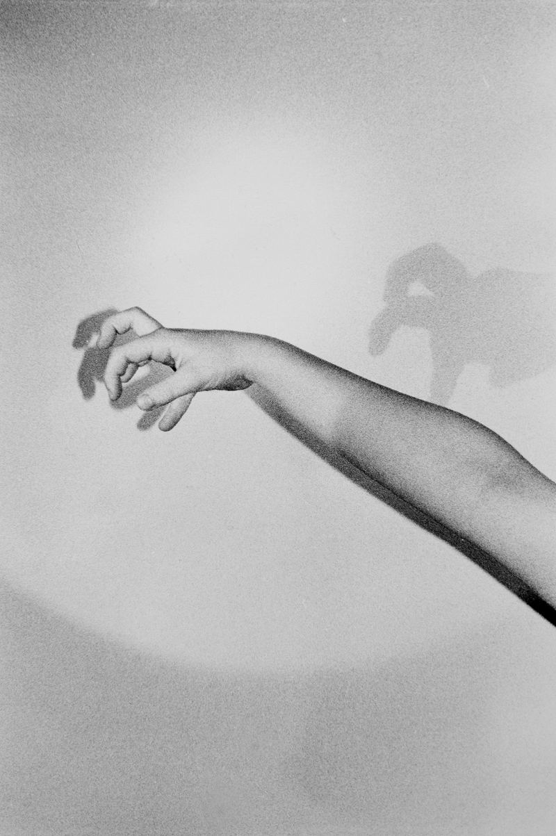 Amanda Williams, Or your shadow, rising to meet you 6, 2020