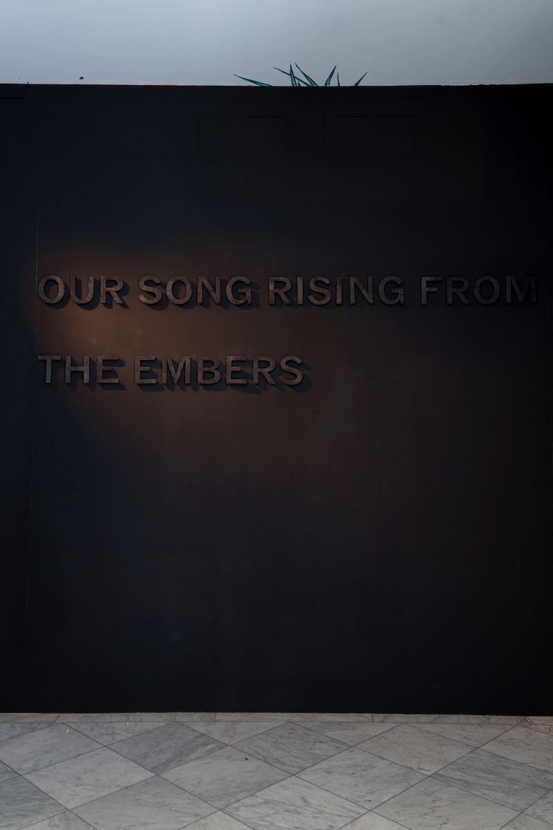 Jazz Money, our song rising, 2026