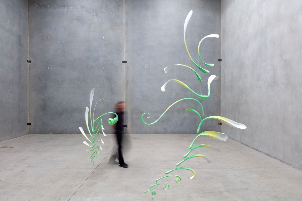 Laschamp cycles: Aurora