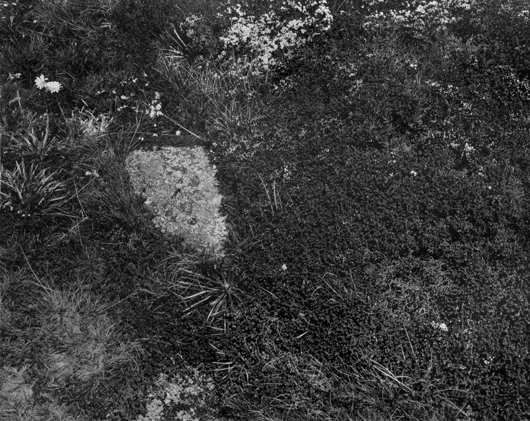 Amanda Williams, Kosciuszko Lookout, Kosciuszko National Park, Ngarigo Country (4681/9), 2023