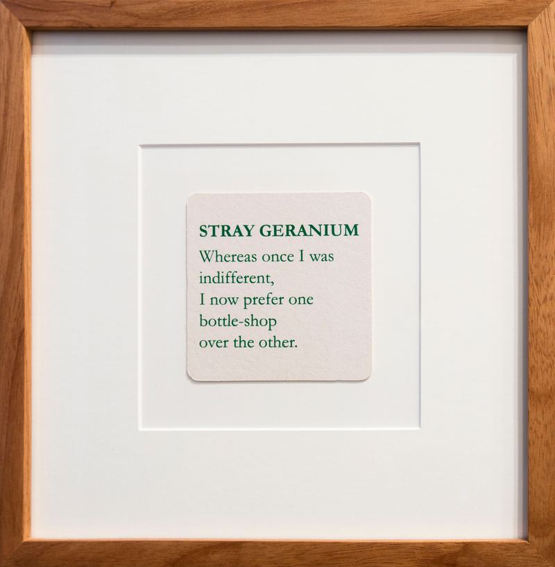 Mitch Cairns, Stray Geranium, 2016