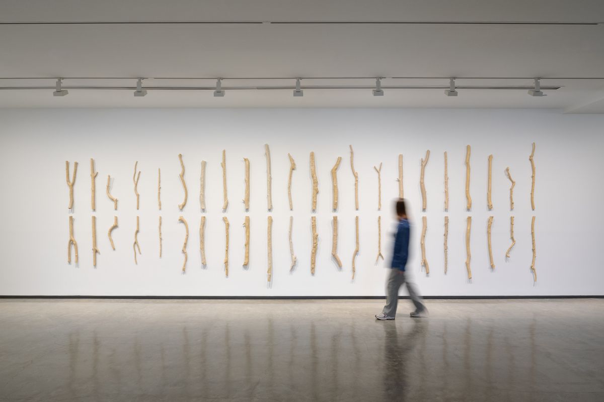 Yasmin Smith: Elemental Life