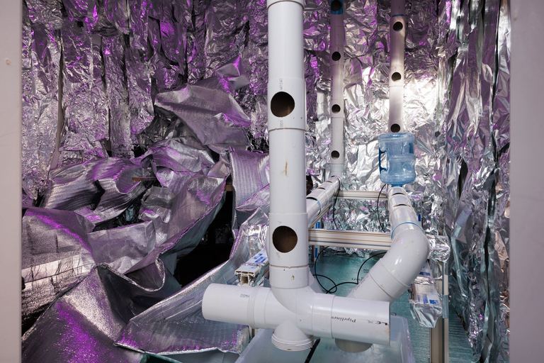 Justene Williams, MAKING DO RHYMES WITH POO, 2025. Installation view Contemporary Art Tasmania. Photo: Peter Mathew