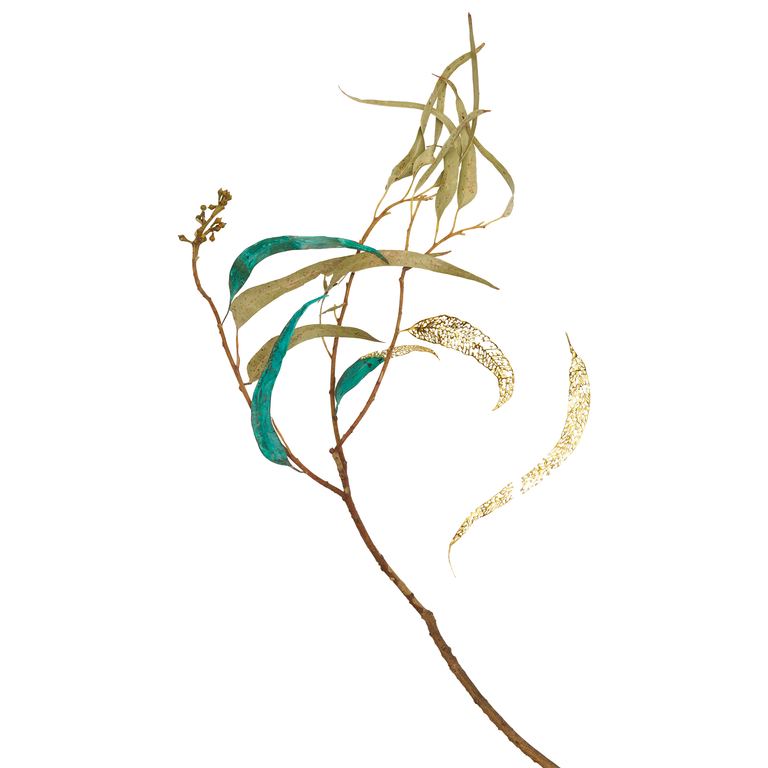 Archie Moore, Gold Leaves, from Remnants Of My Father, 2025, Eucalyptus camaldulensis, gold, copper. Pallion Art Collection