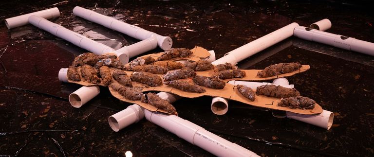 Justene Williams, MAKING DO RHYMES WITH POO, 2025. Installation view Contemporary Art Tasmania. Photo: Huemen Media.