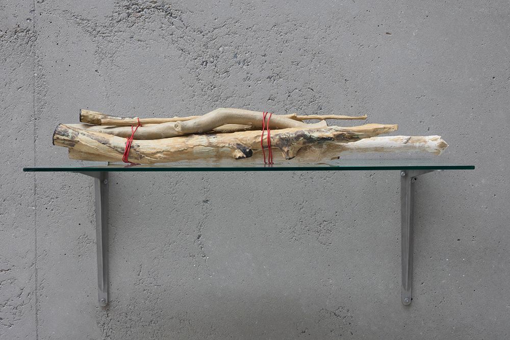 Bundle of Ntaria branches 6