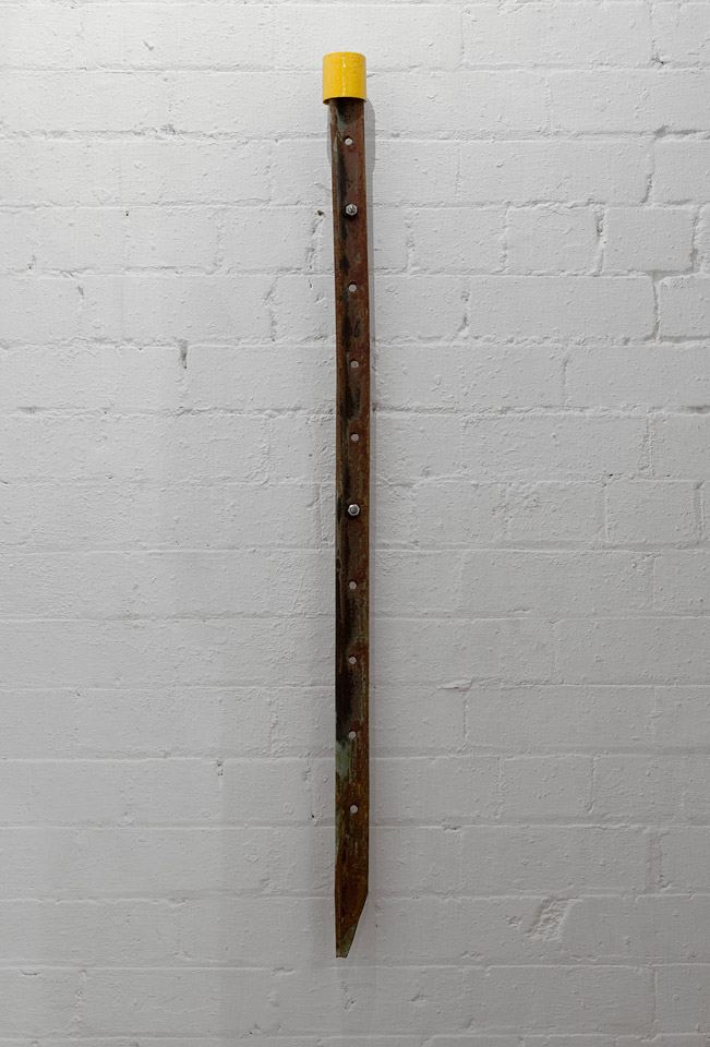 Yasmin Smith, Star Picket, 2012