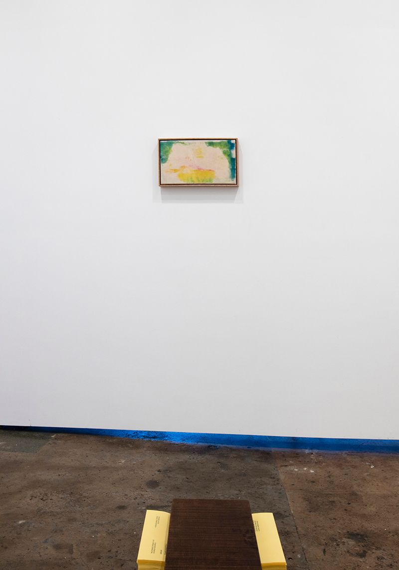 Agatha Gothe-Snape: Volatile Medium