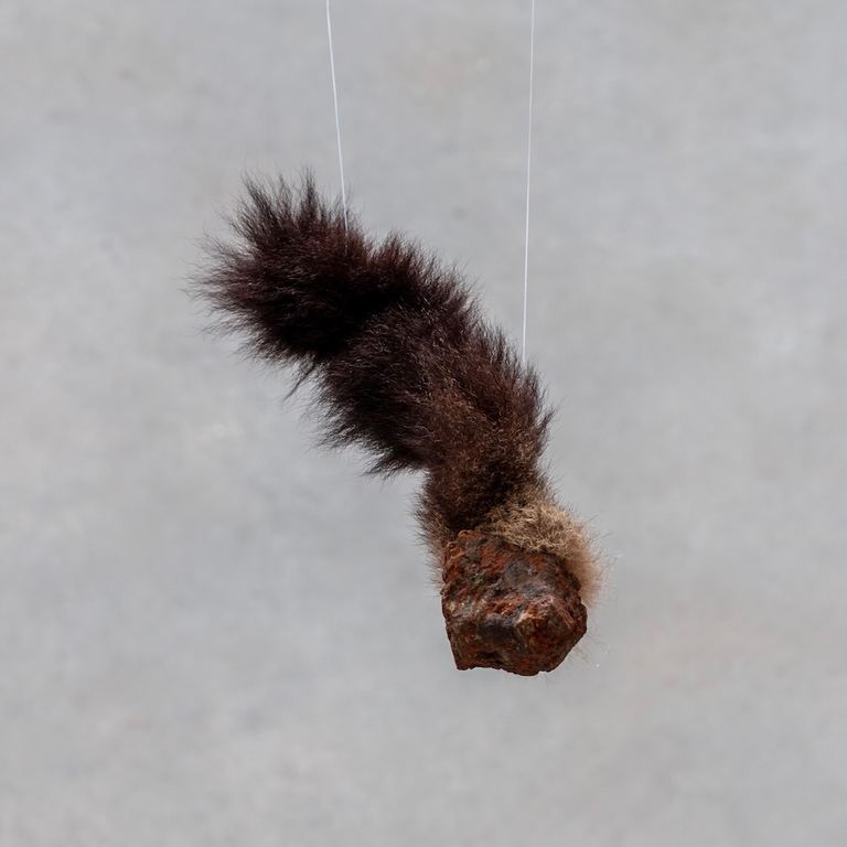 Matthew Harris, Baparra-banarrak, 2022