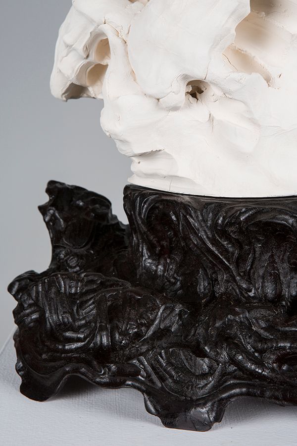 The Scholar's Rock 3