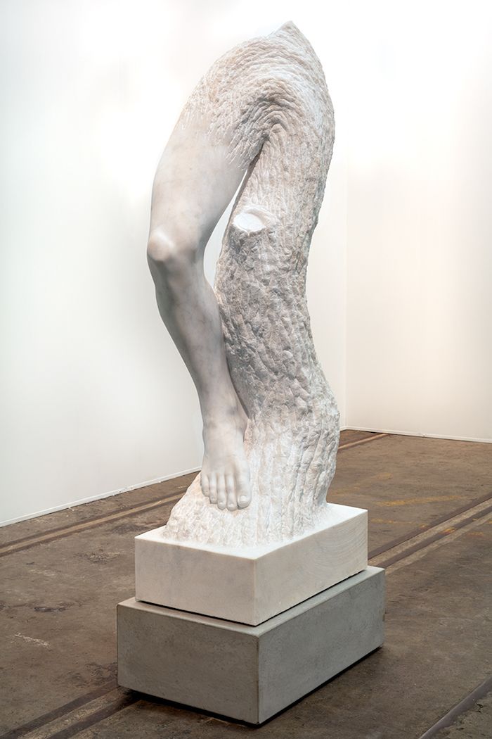 A tree, and he shall stand up in it