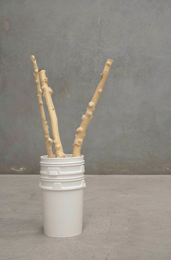 Yasmin Smith, Central Leader 1, 2017