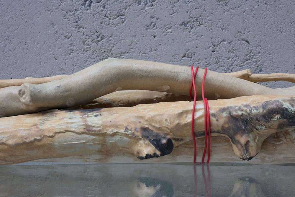 Bundle of Ntaria branches 6