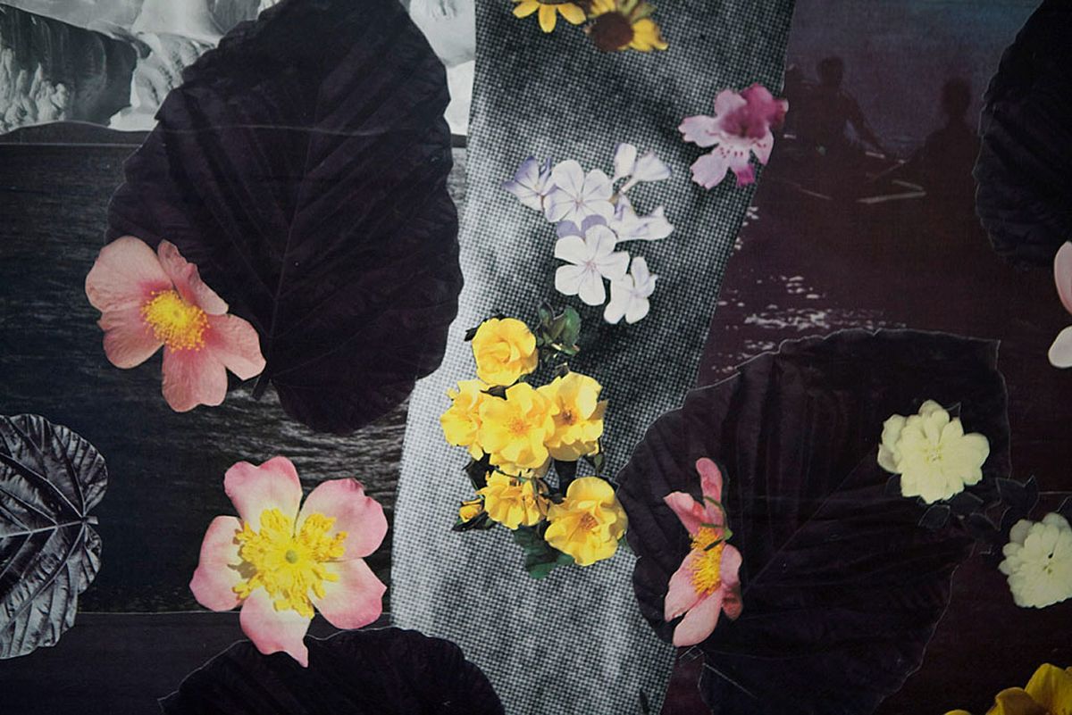 Attack of the Romance