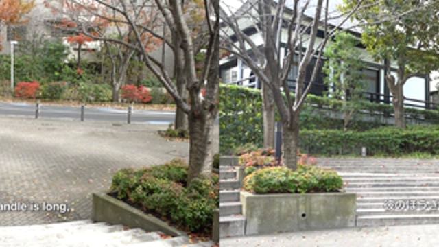 Agatha Gothe-Snape, STAGE (SWEEPING, BRUSHING MOTION), 2017