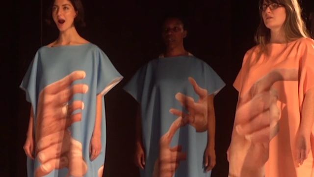 Agatha Gothe-Snape, Rhetorical Chorus (LW), 2015